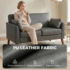 2 Seater Sofa, 132 cm Modern Small Sofa with Solid Wood Legs and 2 Pillows for Small Space, Grey